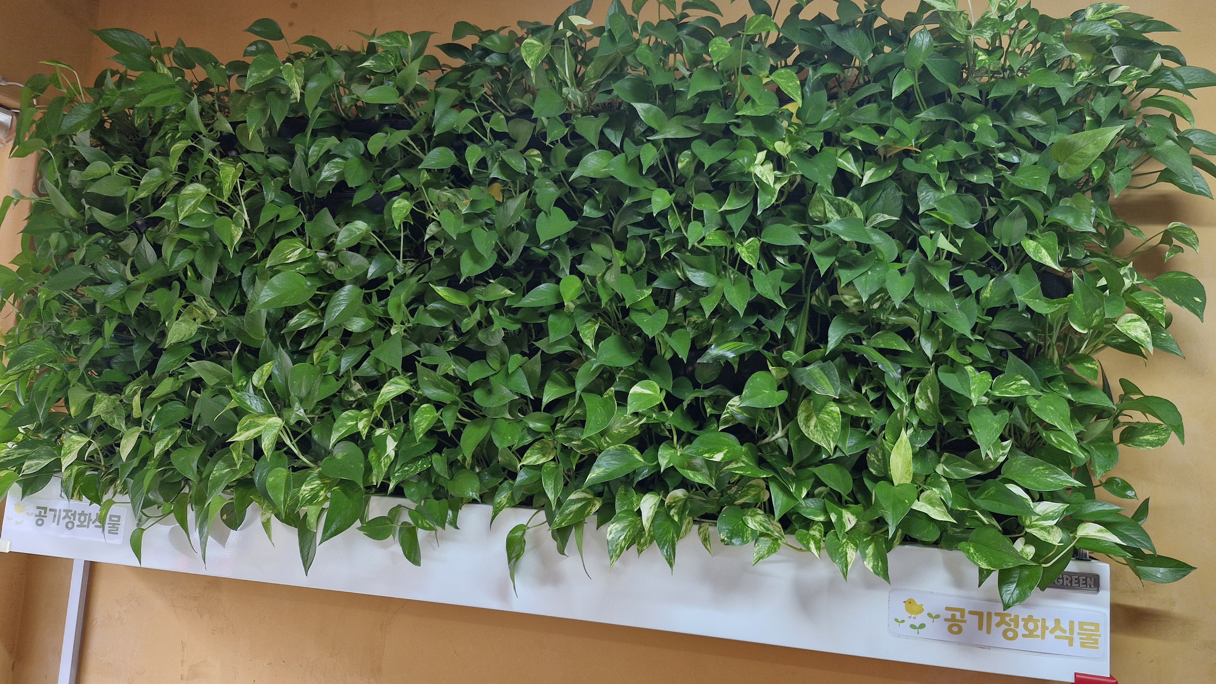 공기 청정 지역 이미지